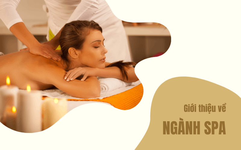 Dịch vụ lắp đặt máy gắp thú – Trải Nghiệm Độc Đáo Tại Spa! Dịch vụ lắp đặt máy gắp thú – Trải Nghiệm Độc Đáo Tại Spa!